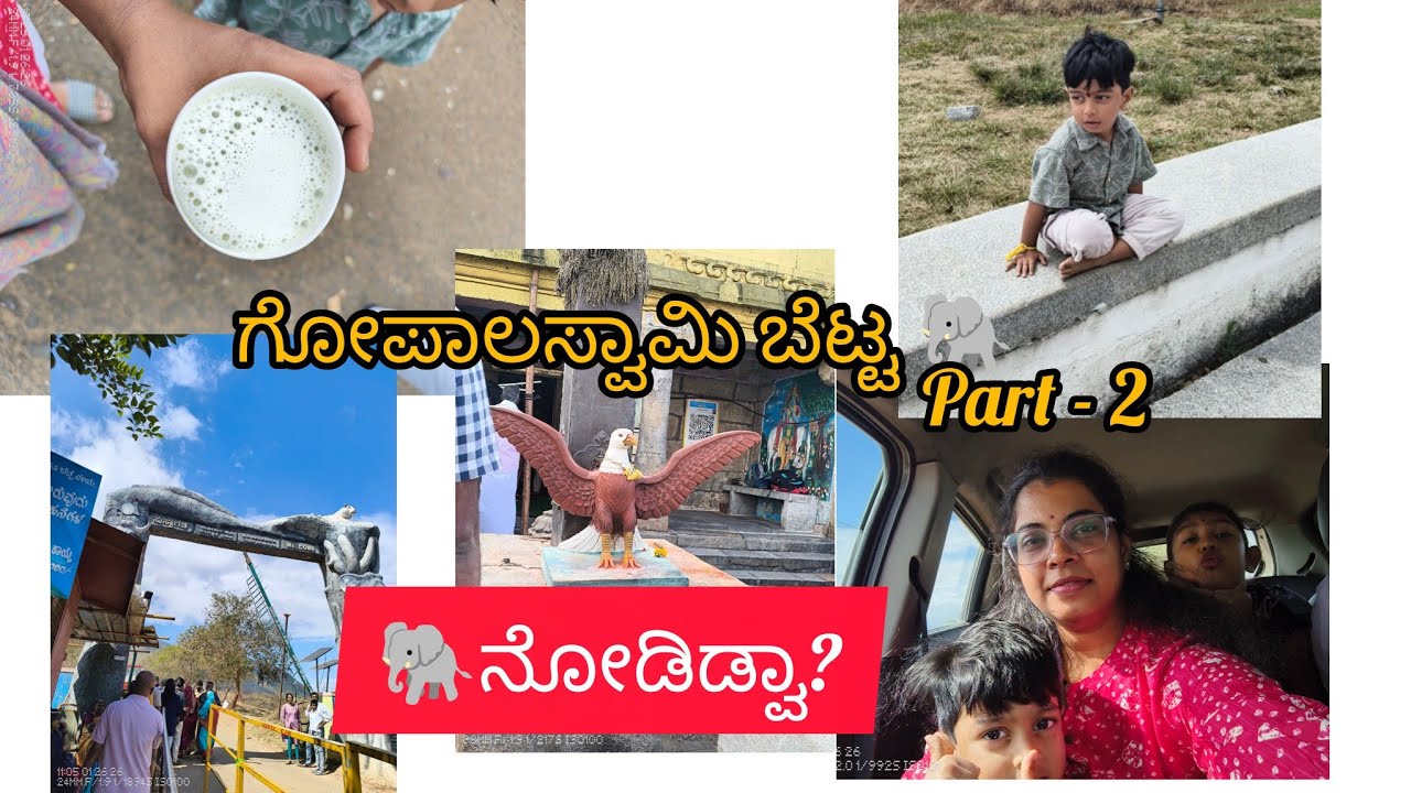 ಗೋಪಾಲಸ್ವಾಮಿ ಬೆಟ್ಟ... ಆನೆ ನೋಡಿಡ್ವಾ 🙂... ಯಾರೆಲ್ಲ ಹೋಗಿದಿರಿ ಈ ಬೆಟ್ಟಕ್ಕೆ... #temple #viralvideo #kannada 