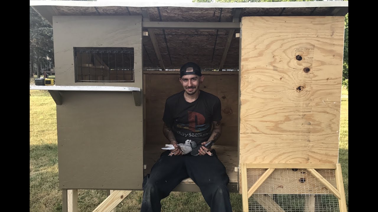 Best Starter Racing Pigeons Loft Of All Time.
