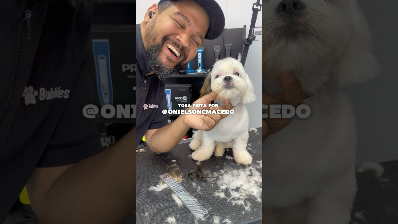 Como &eacute; tosar um cachorro que n&atilde;o para quieto? #petcare  #cachorro  #petshop  #petlovers #banhoetosa