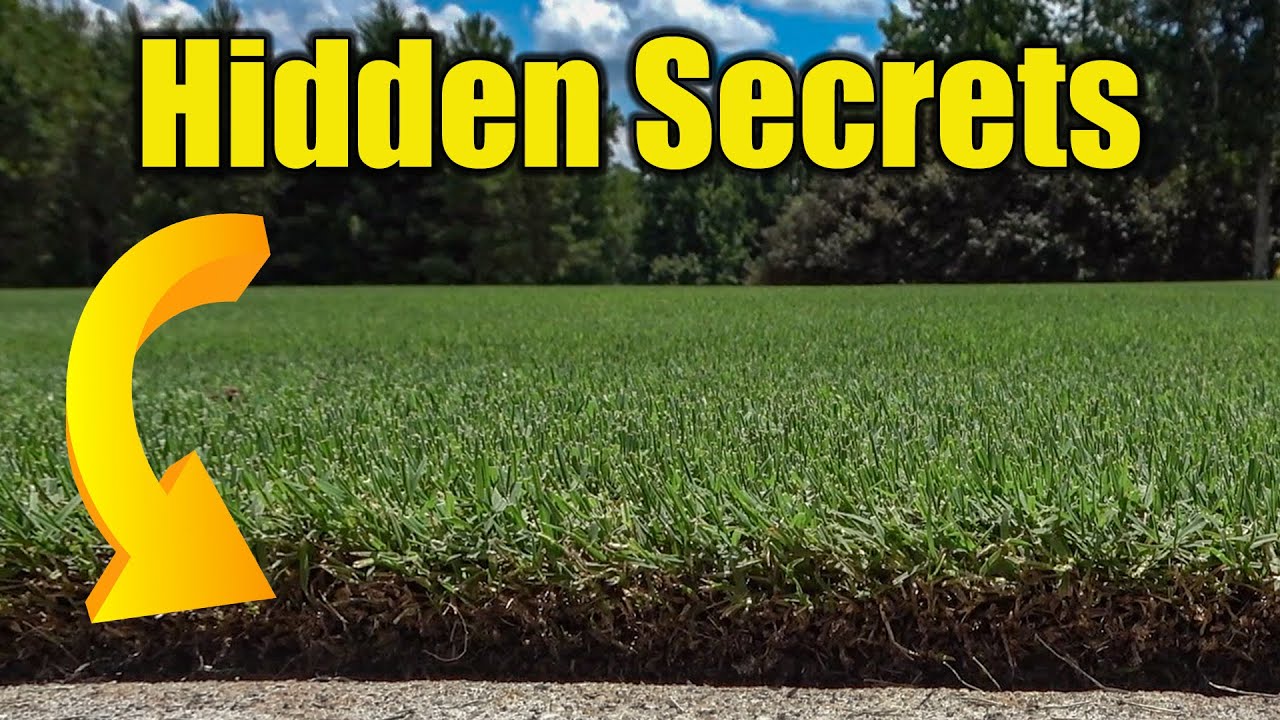 Lawn Soil Test Online - How Soil Testing Your Lawn Helps