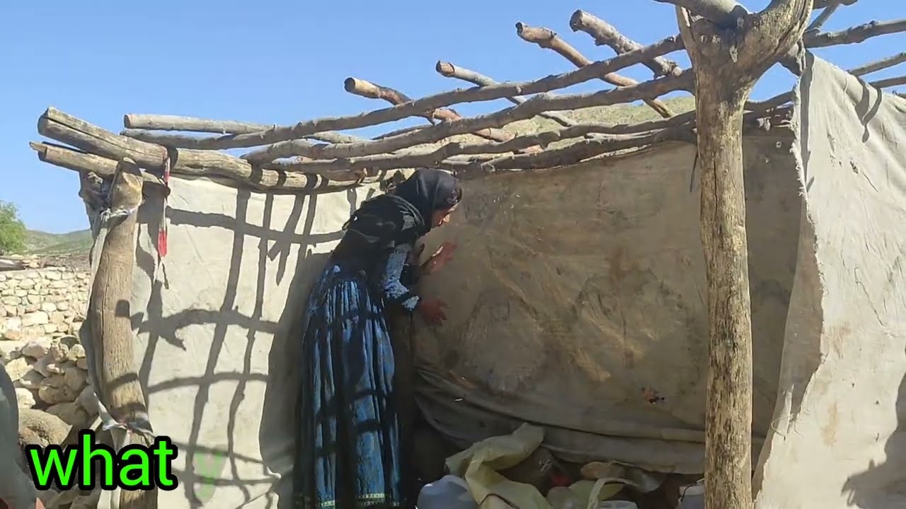 🌄 Nomadic life; 🏕️ Keeping the water bottle cool under the nomads' handmade canopy 💧