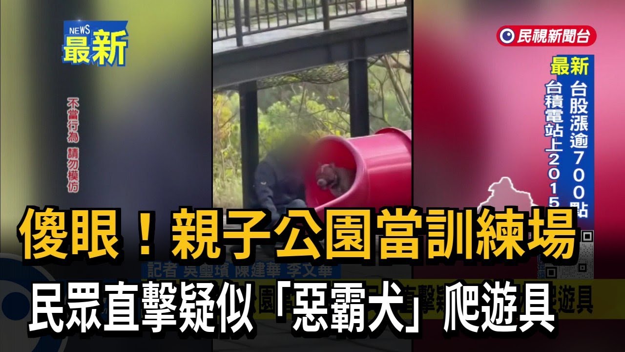 傻眼！親子公園當訓練場 民眾直擊疑似「惡霸犬」爬遊具－民視新聞