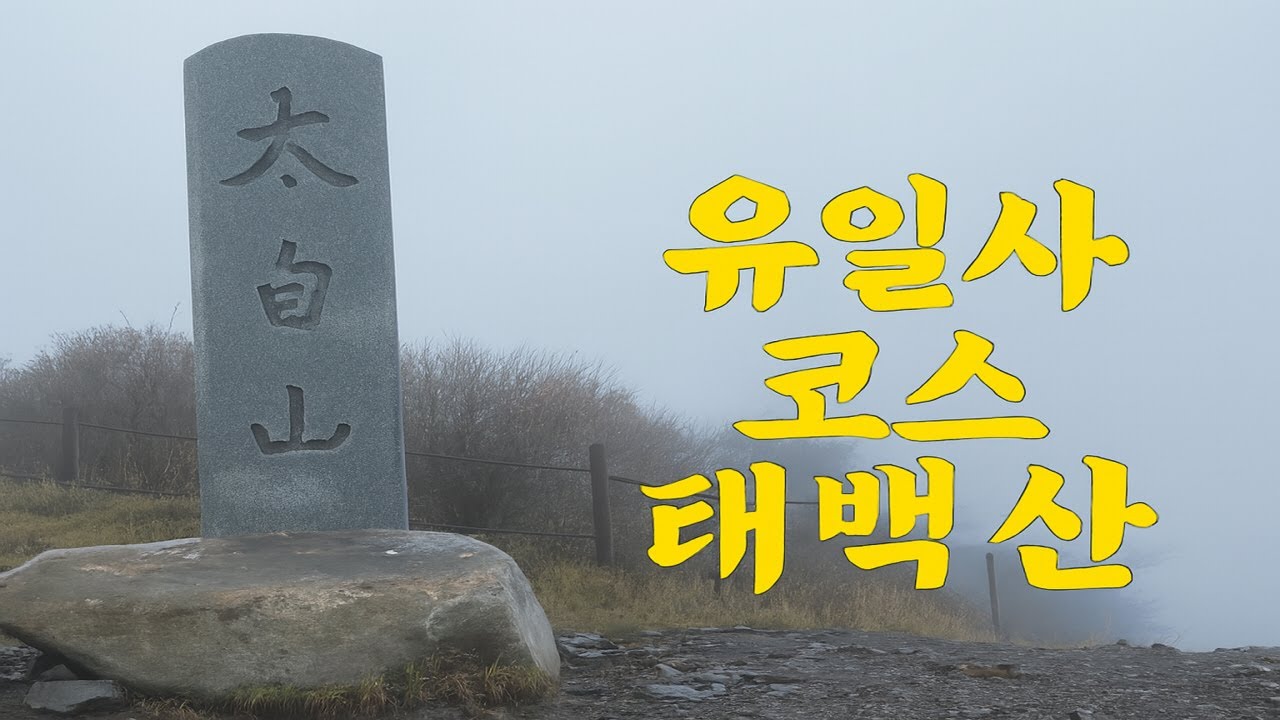 태백산 등산  유일사 코스｜단풍 절정기 10월 23일 산행| 100대명산 |등산추천 | 혼산 | 한국여행 | 힐링 | 여행 | 하이킹 |#태백산 #유일사#태백산장군봉#백두대간