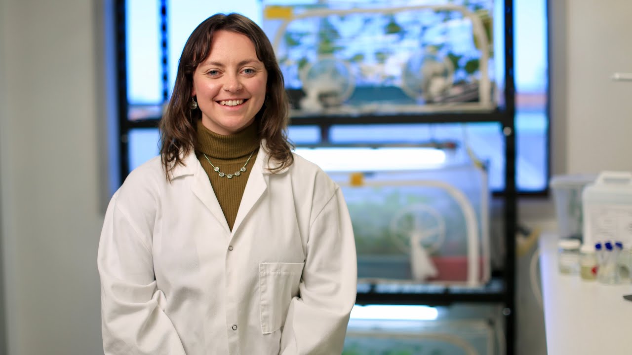Beneficials Chemical Toxicity Table: Use it or lose 'em