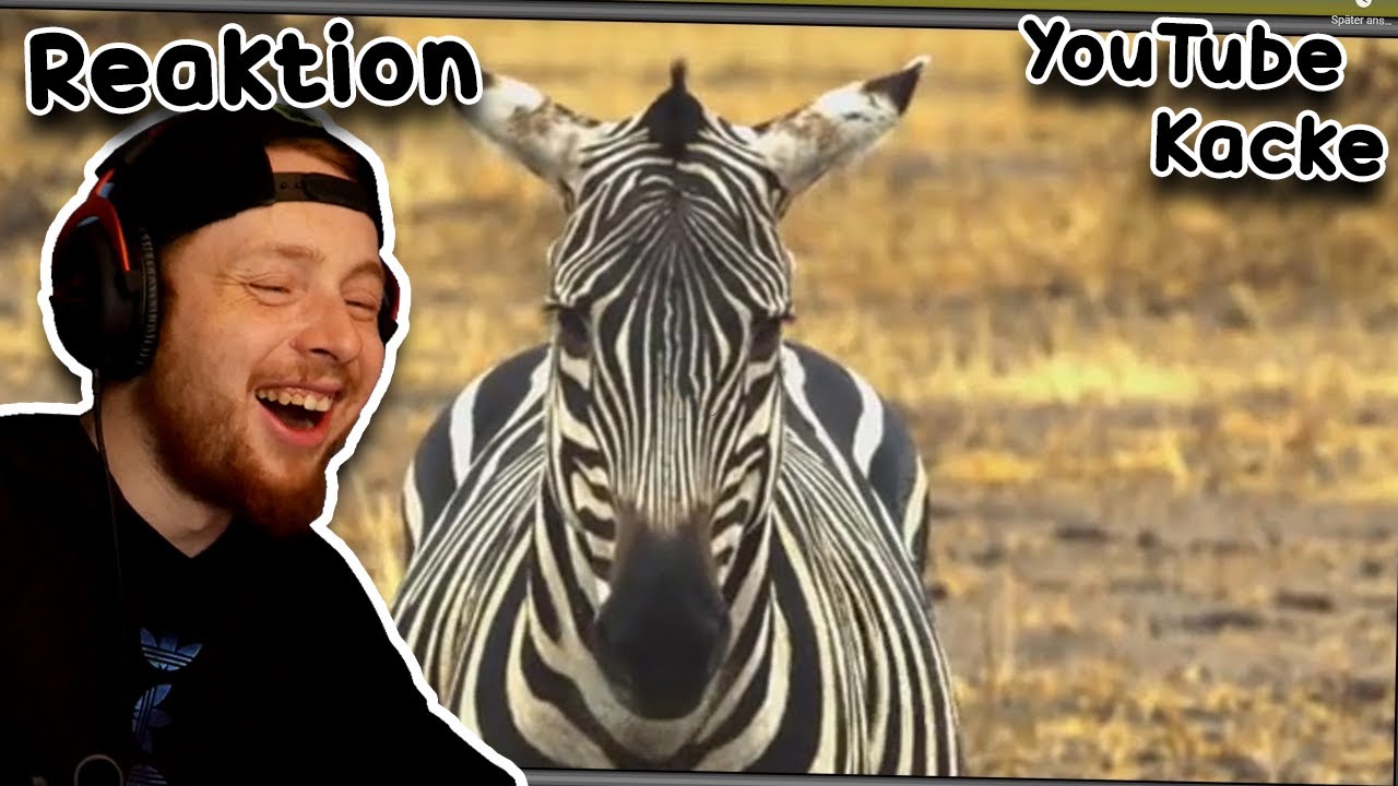 ULTRA WITZIGE YOUTUBE KACKE 😂 Reaktion auf 
