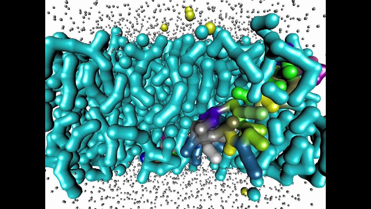 Hyperballs representation of a coarse-grained membrane