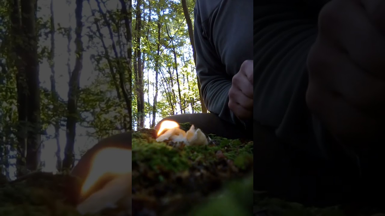 Exotac polySTRIKER XL #bushcraftcommunity #bushcraftfamily #bushcraft #survival #ferrorod #fire