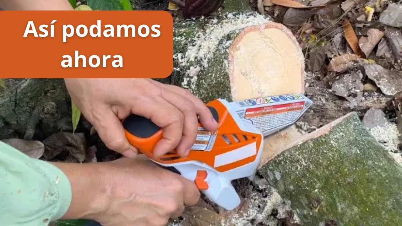 La mini sierra que facilitó el trabajo de mi mamá en la finca