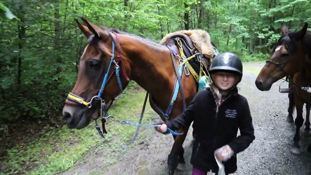 Discover Endurance Riding! Learn more at AERC.org