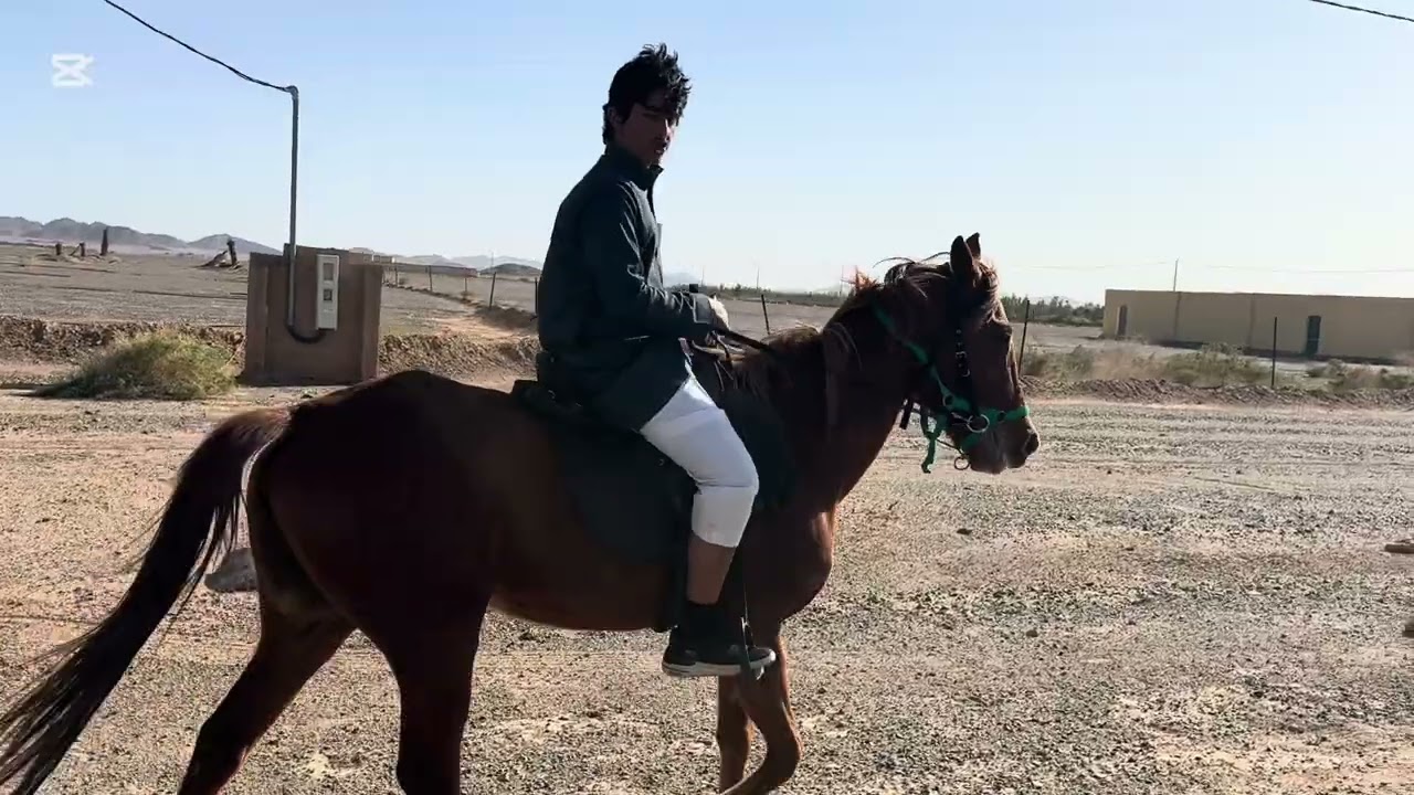 ‏نودي سمحة المربط 😂😂🔥