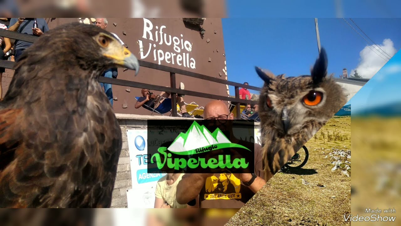 Stagione estiva 2024 attività in montagna
