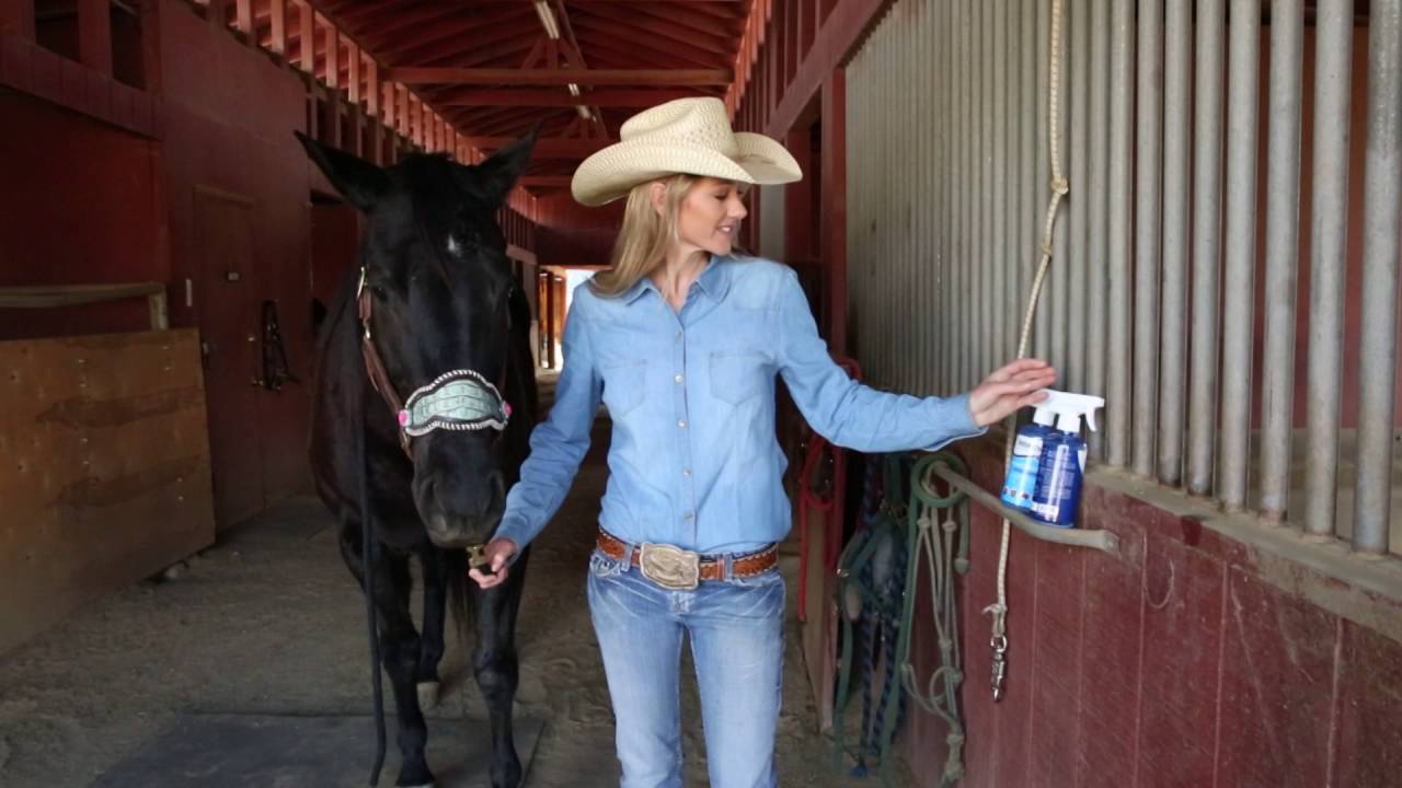 Vetericyn Plus Wound and Skin Care for Horses