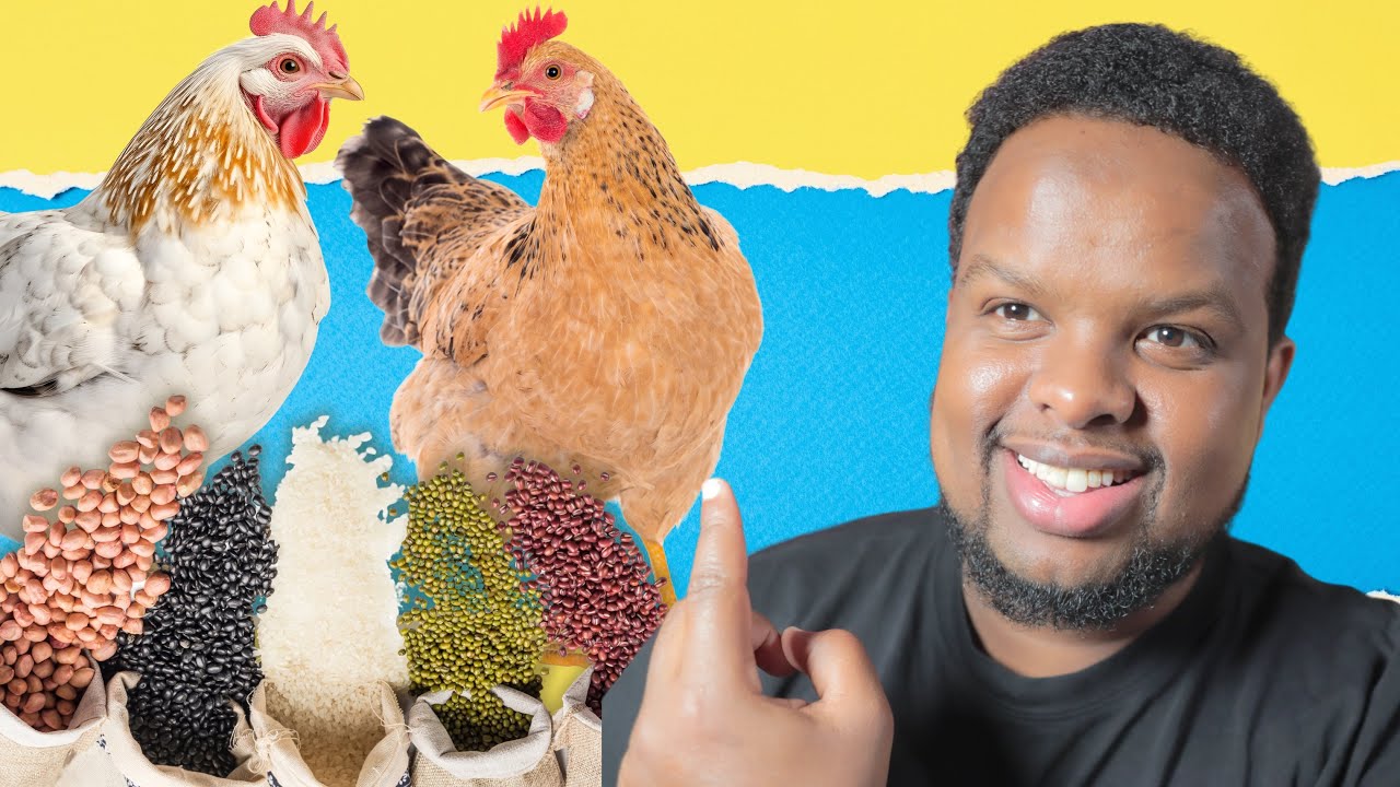 QAABKA LOO DIYAARIYO CALAFKA DIGAAGA