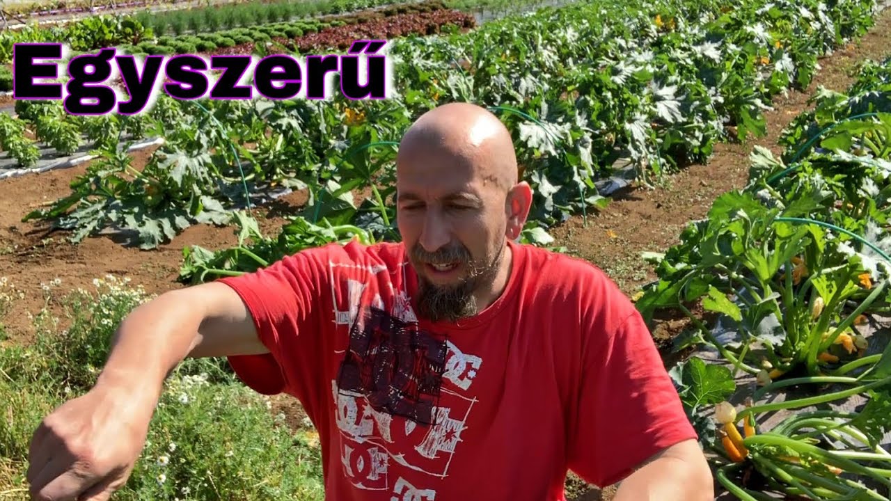 Gyomírtó természetes anyagokból
