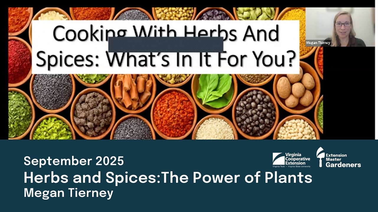 Herbs with Megan Tierney