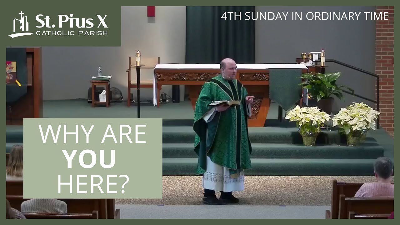 The Beatitudes | 4th Sunday in Ordinary Time ~ Catholic Homily
