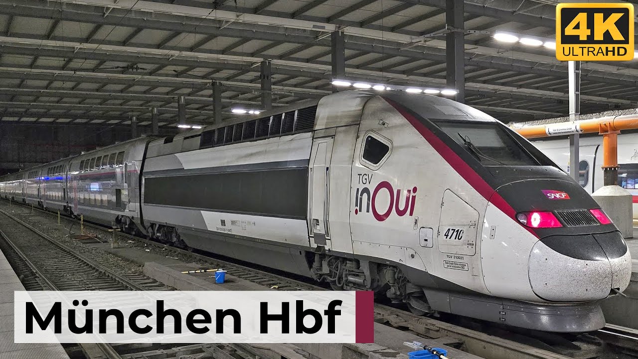 München Hbf 30.05.2025 - Früher Morgen mit TGV, ICE, IC & S-Bahn im sanften Licht
