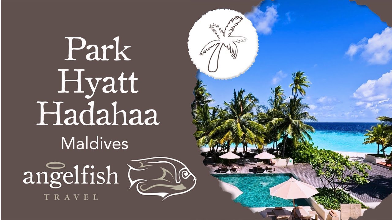Park Hyatt Maldives Hadahaa | A Peaceful Paradise for Snorkellers and Nature Lovers