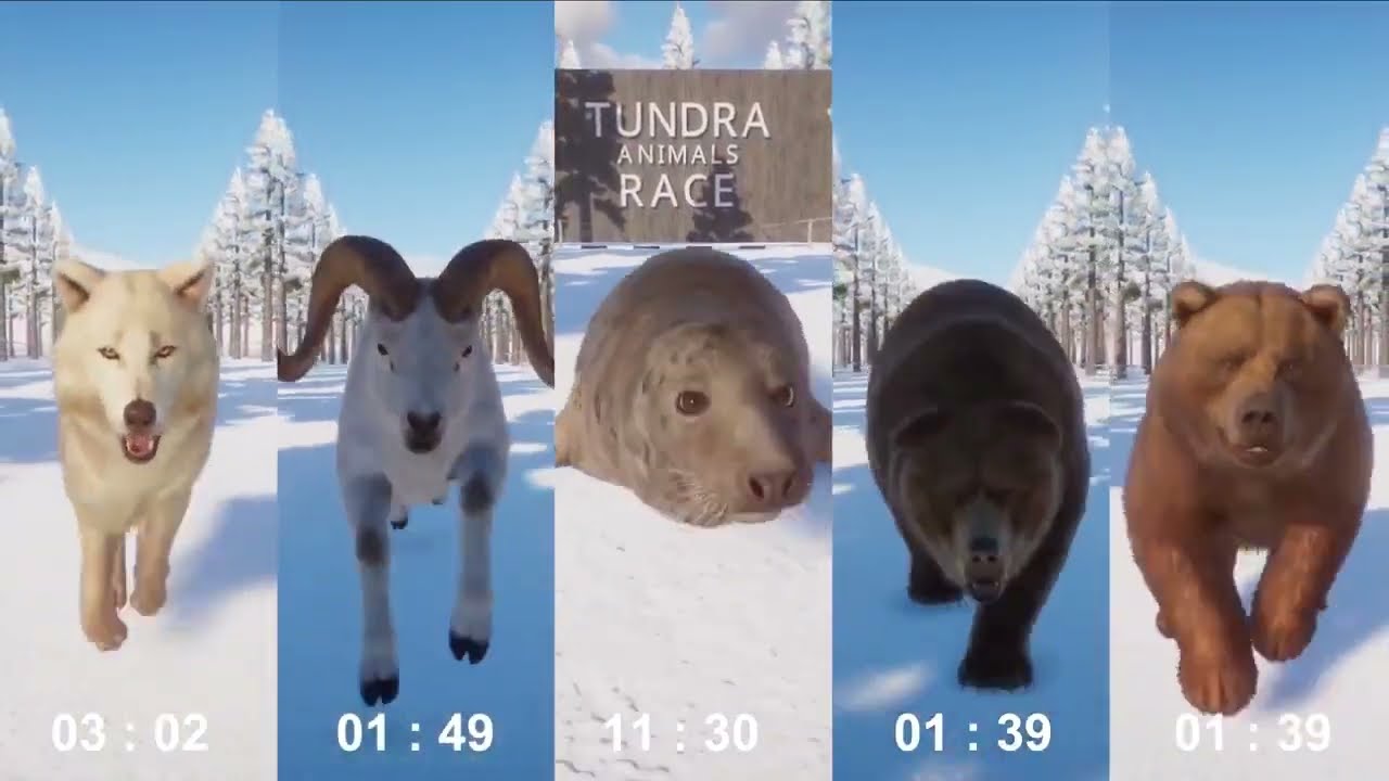 Tundra Animals Category Race in Planet Zoo included King Penguin, Grey Seal, Wolf, Reindeer