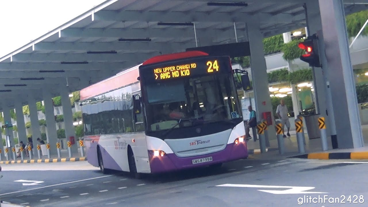 Buses at Changi Airport Terminal 4, Singapore 2017