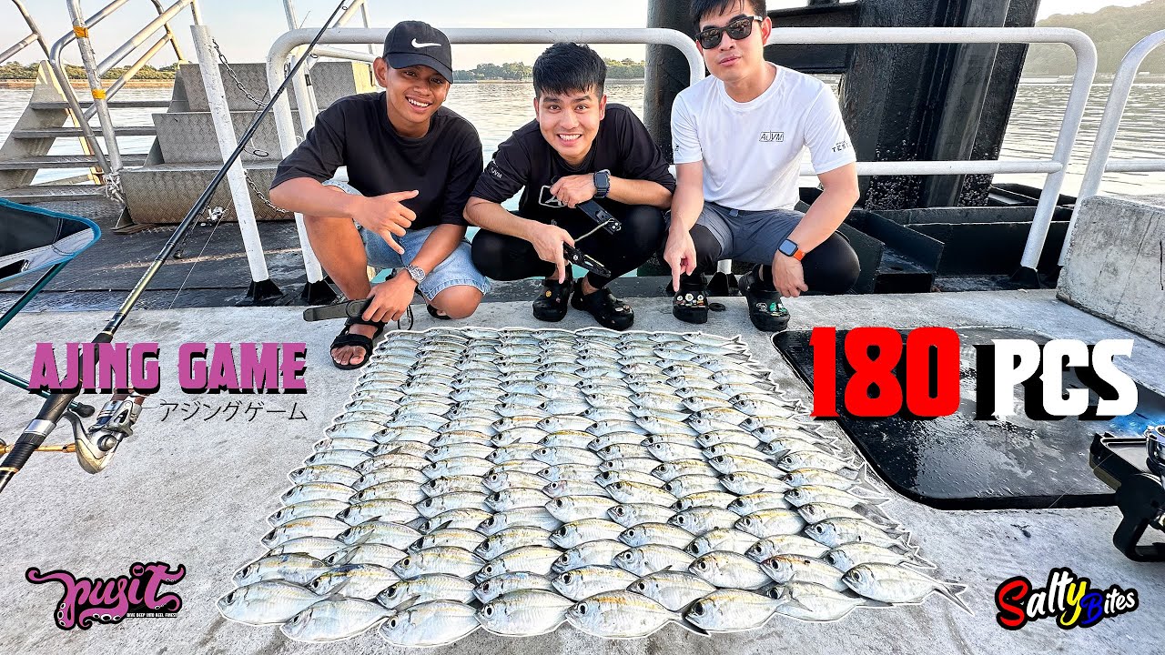 Epic Ajing Fishing! Catching 180pcs of Bigeye Scad in one night!