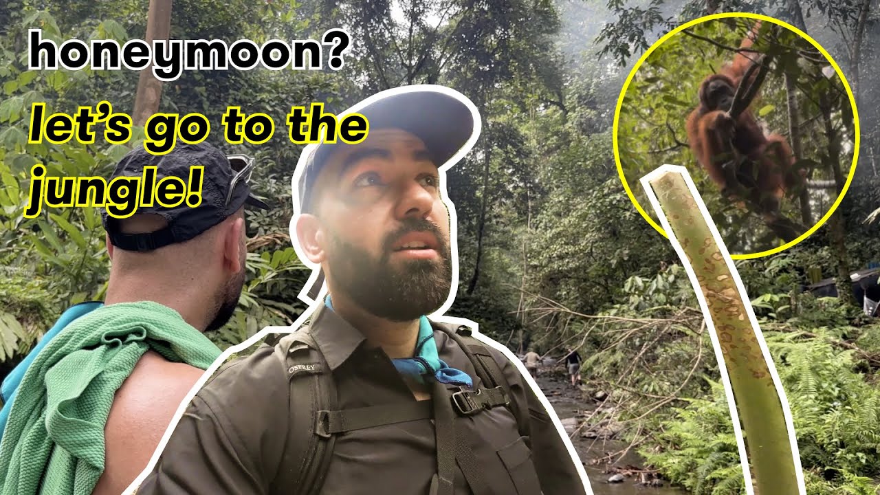 5 days deep in the JUNGLE: bukit lawang on our honeymoon 💅🏼