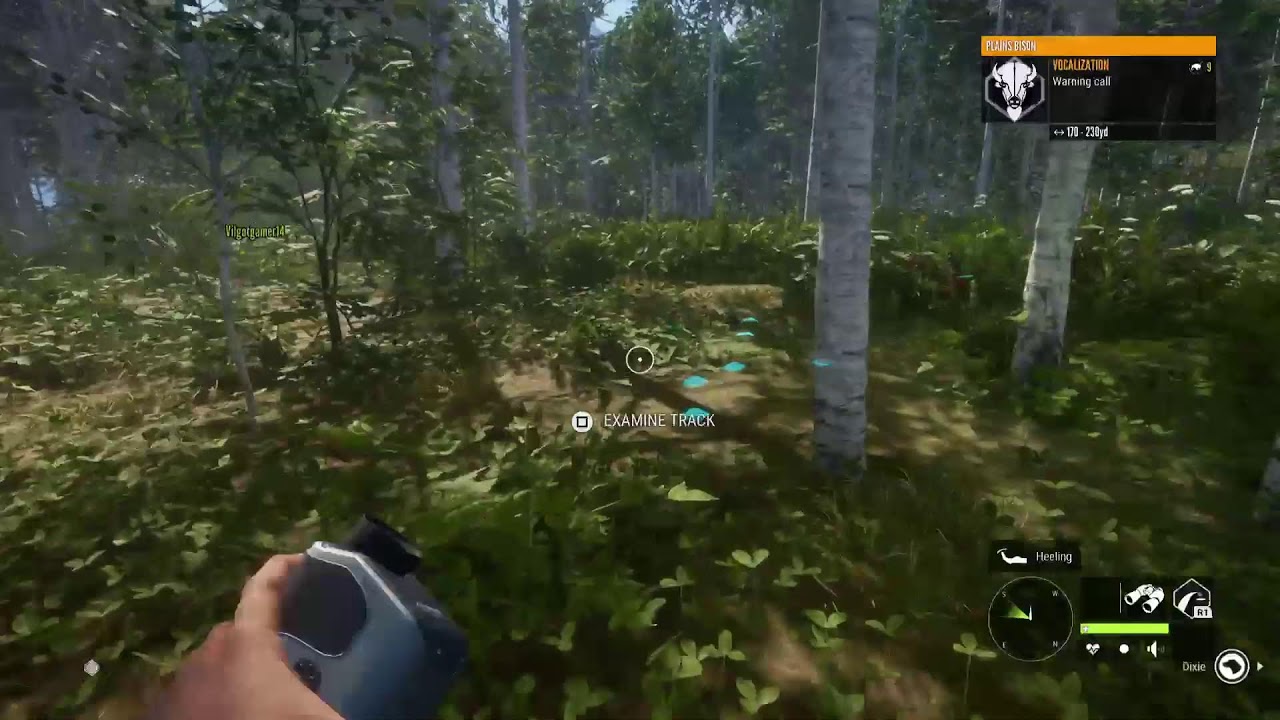 Hunting for deer