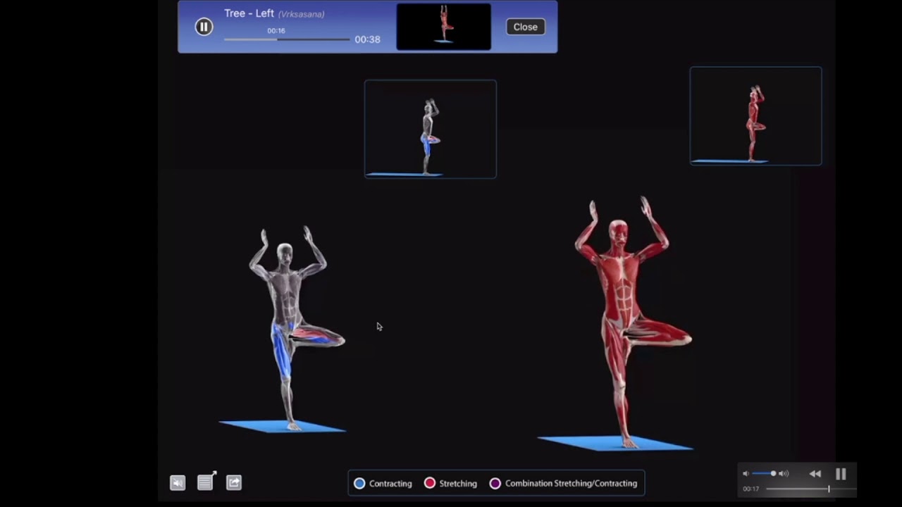 LAS POSTURAS DE EQUILIBRIO Y LOS HEMISFERIOS CEREBRALES