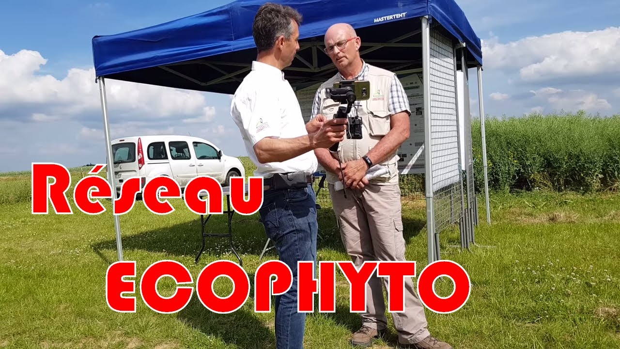 Le r&eacute;seau ECOPHYTO