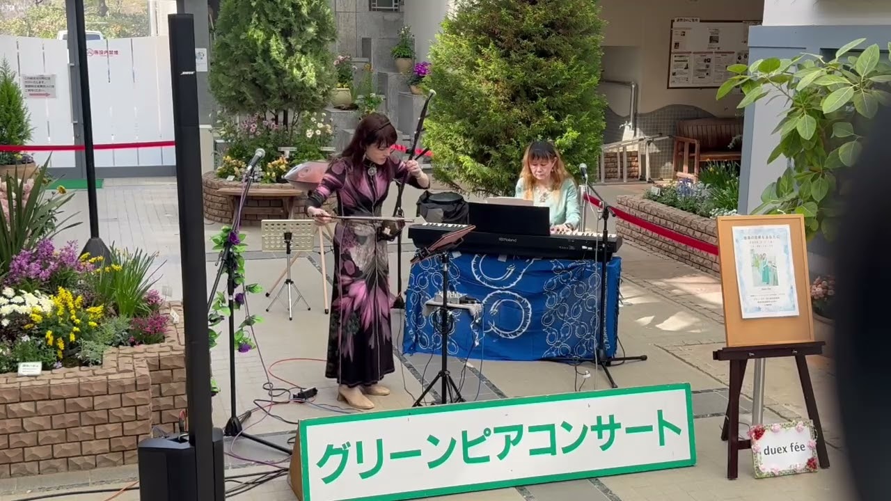 ROSA RIO ピアソラの曲を二胡で