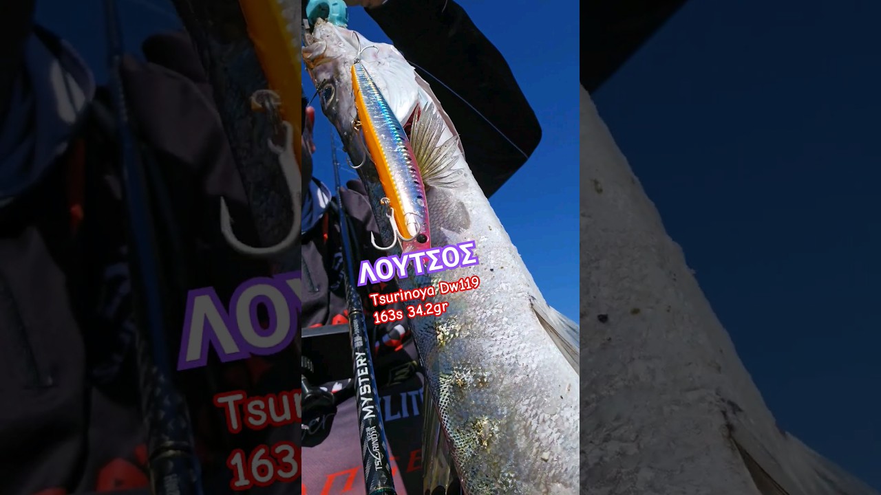 Heavy Spinning Λούτσος στο 