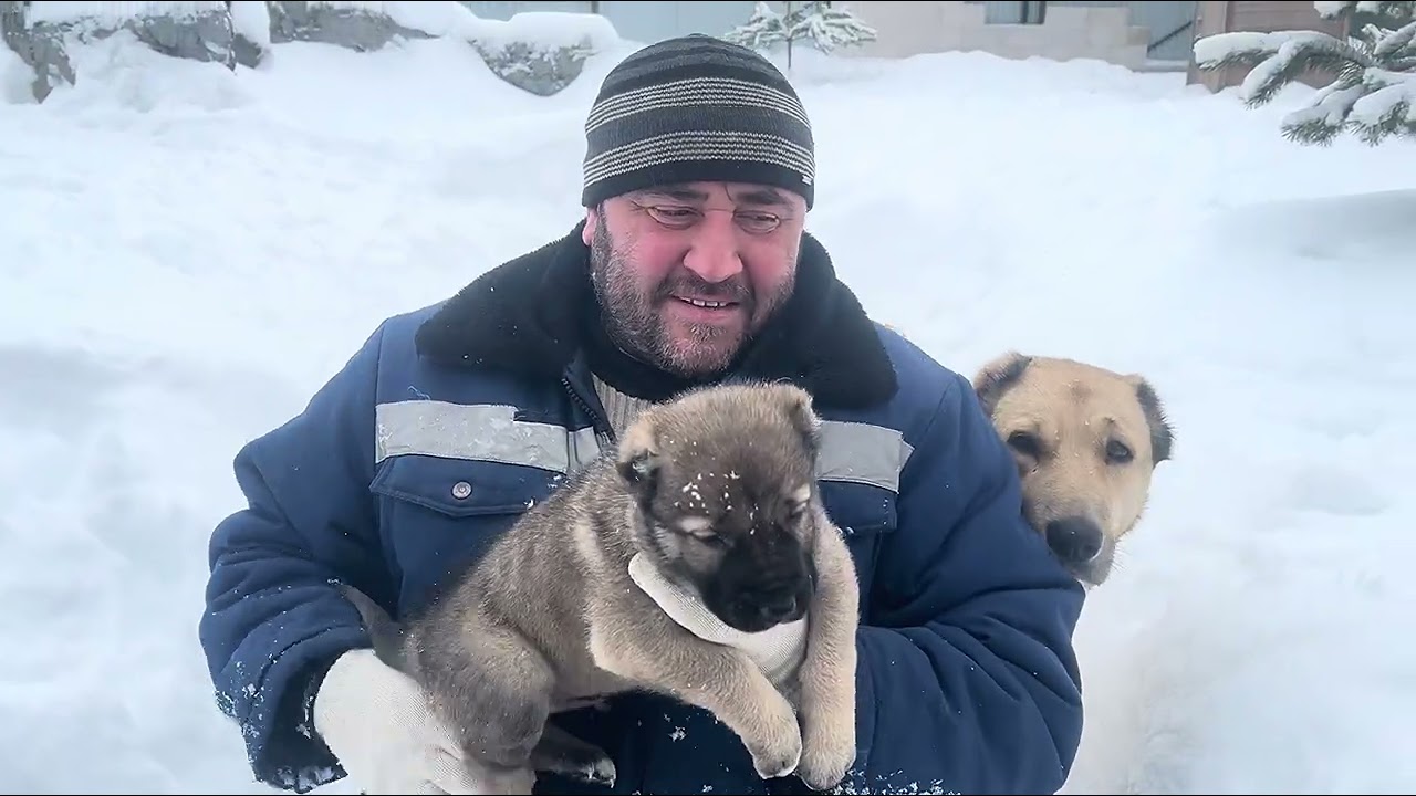 ГАМПР