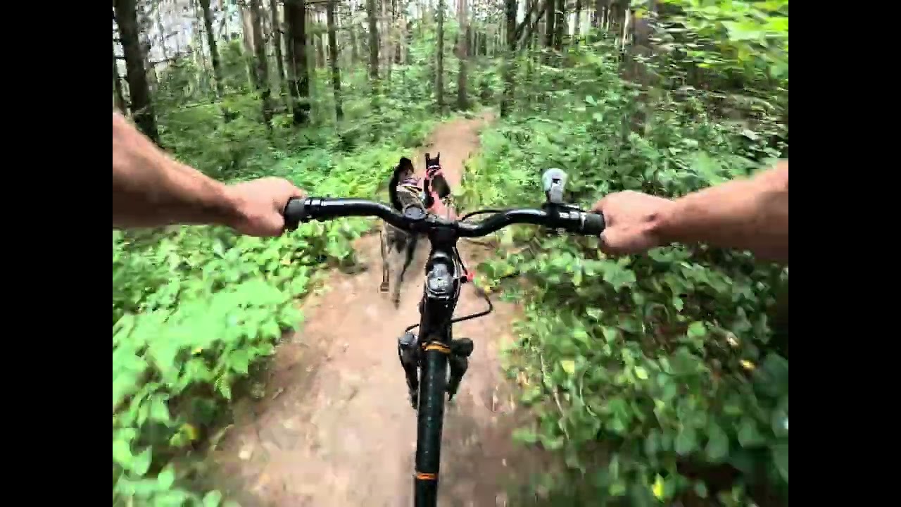 Scanlon Creek Ride- long-
