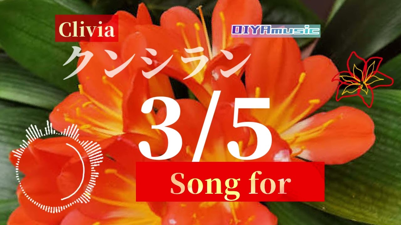 【3/5生まれのあなたへ】クンシラン　〜birthday's song for you〜 #birthday #music #song #nemophila #305