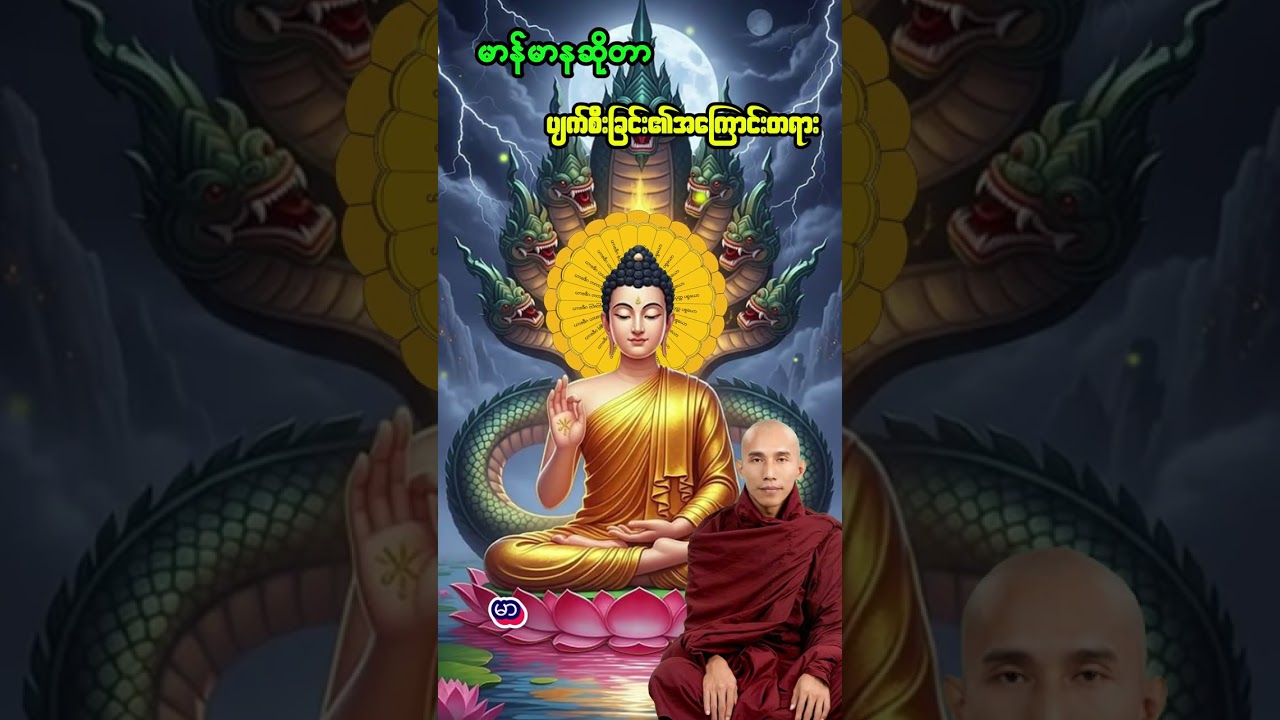 မာနထားရင်ပျက်စီးလိမ့်မယ် #သစ္စာရွှေစည်ဆရာတော်#နာယူမှတ်သားနိုင်ကြပါစေ#တရားတော်များ#တရားတော်🙏🙏🙏