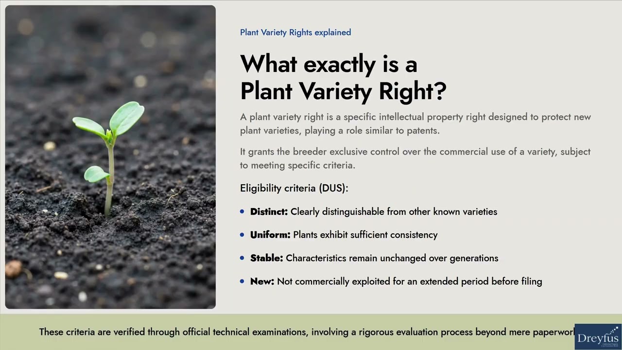 Plant Variety Protection & Breeders’ Rights 2026 – UPOV, CPVO & EU Plant Variety Rights Strategy