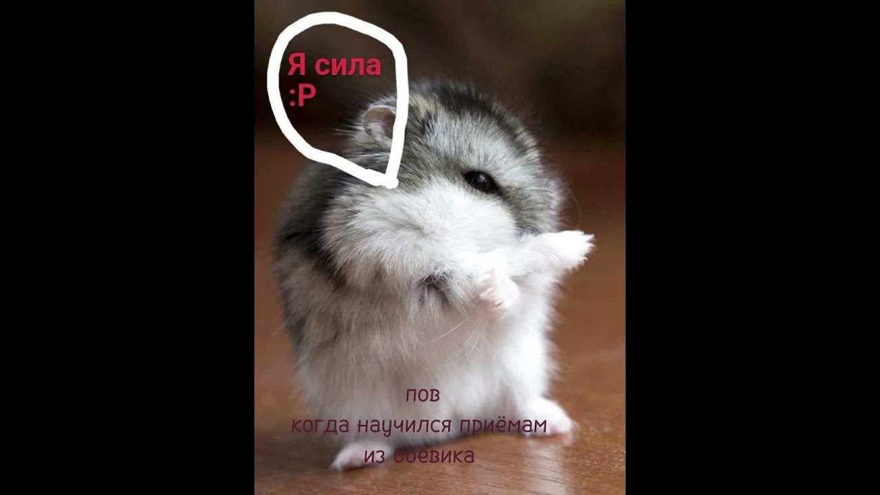 когда научился приёмам из боевика.