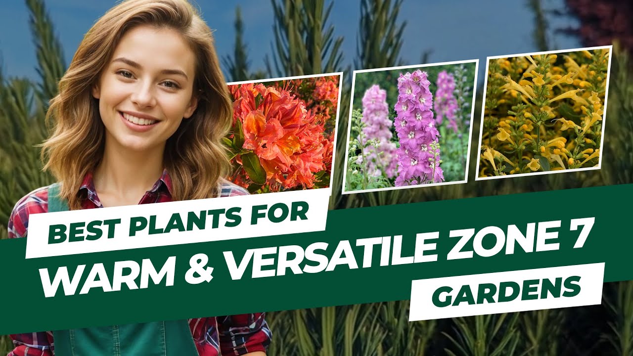 Best Plants for Warm & Versatile Zone 7 Gardens