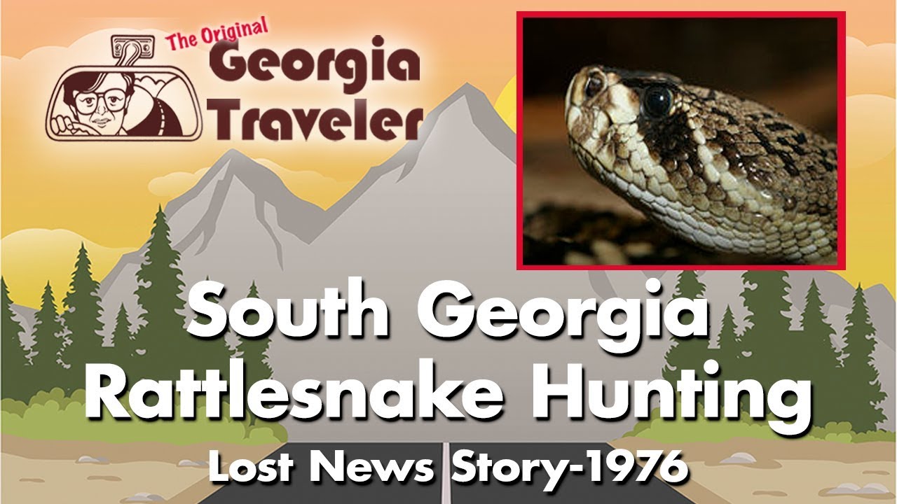 The Real Story Behind Rattlesnake Hunting - The Original Georgia Traveler WSB-TV {Real Stories}