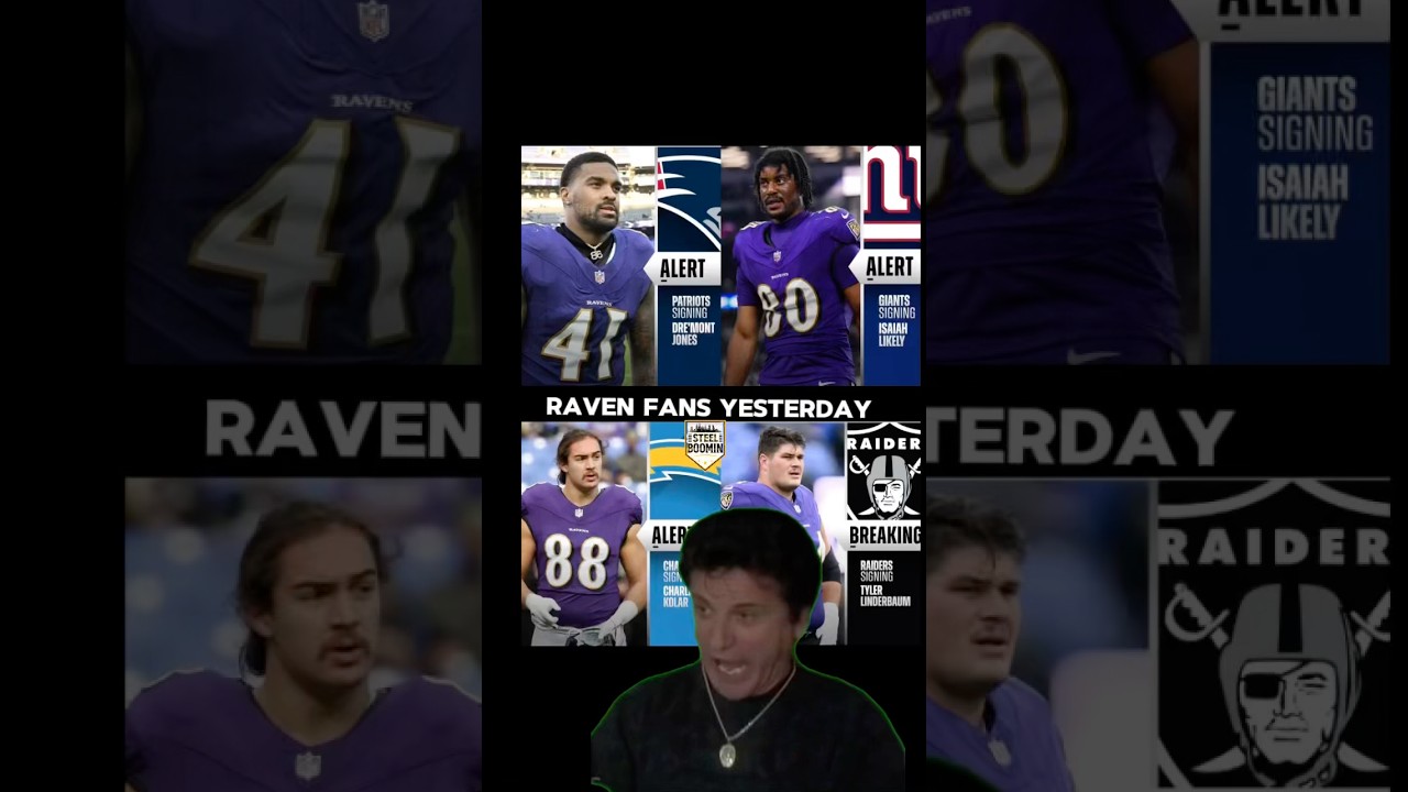 RAVENS ARE COMEDY 🤣🤣🤣