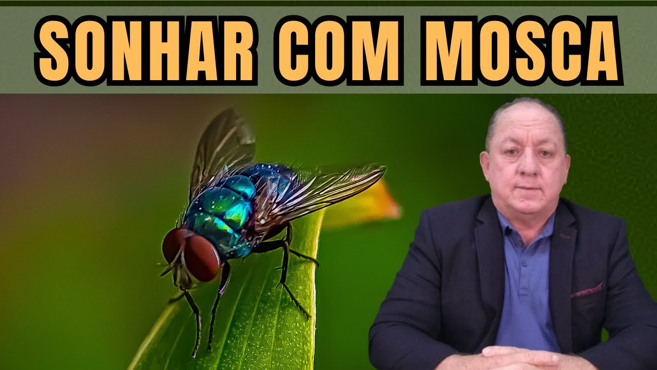 O QUE SIGNIFICA SONHAR COM MOSCA