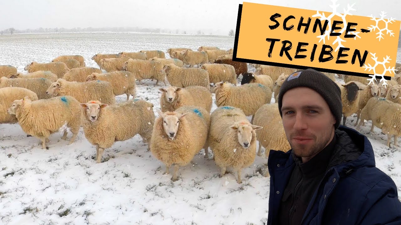 Schneetreiben | DEICHVLOG #57