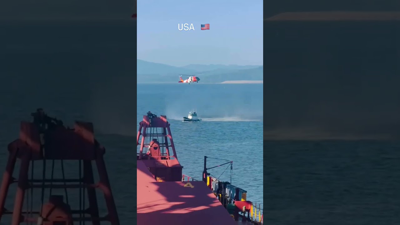 merchant navy life|navy status|shorts video #ship #sailorlife #trending #ship #travel