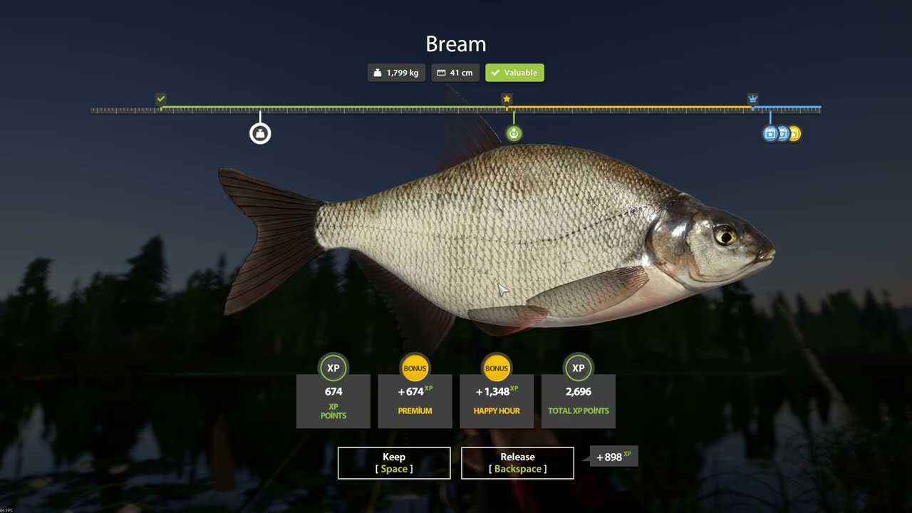 Russian Fishing 4 | Old Burg(Eski Kasaba Gölü) | Bream Active Spot 40min 370 Silver !