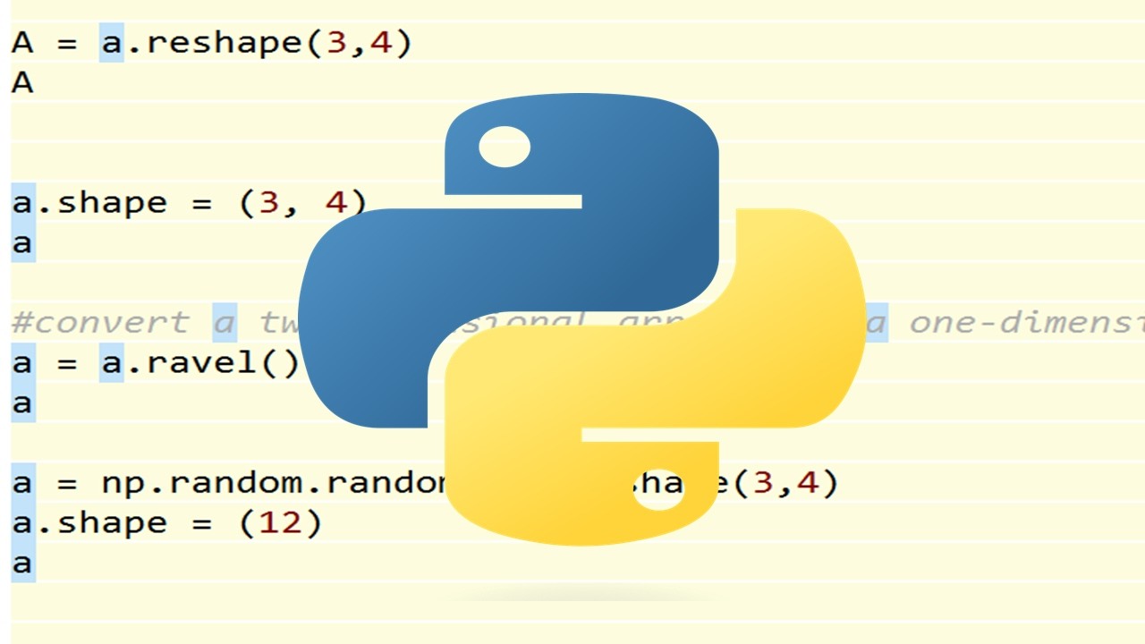 Python NumPy basics