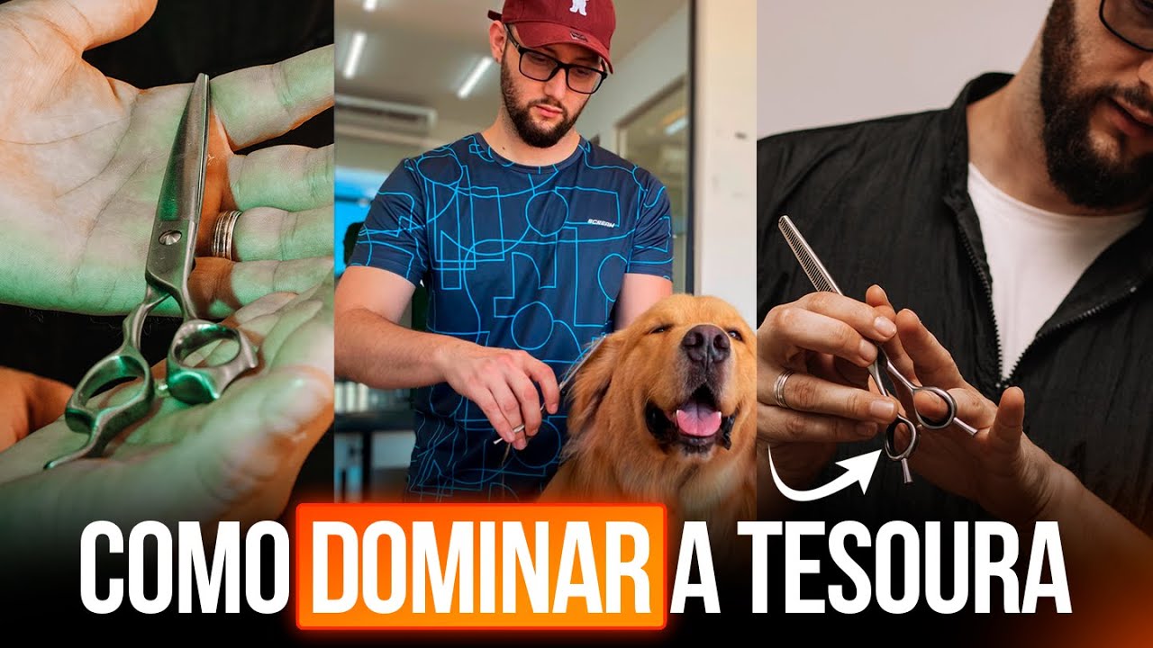 Como dominar a tesoura no banho e tosa - Junior Borja