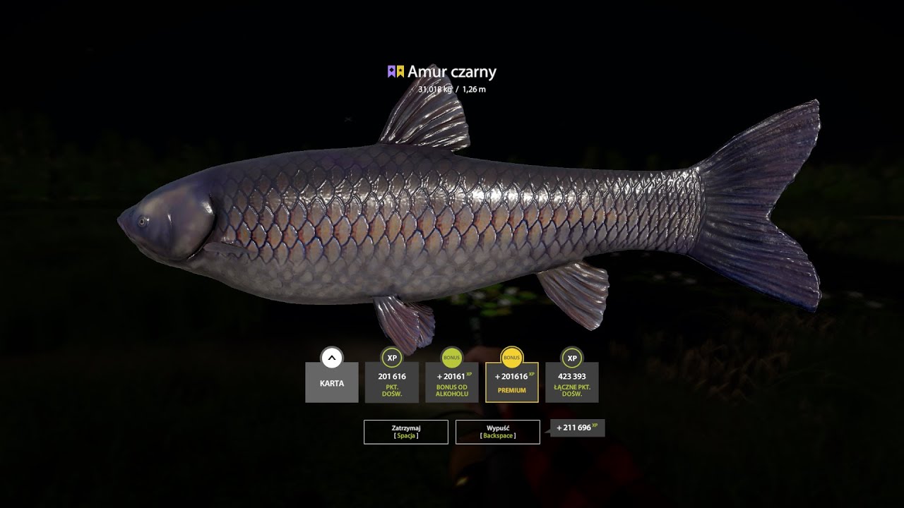 Russian Fishing 4 Black Carp Trophy - Bear Lake