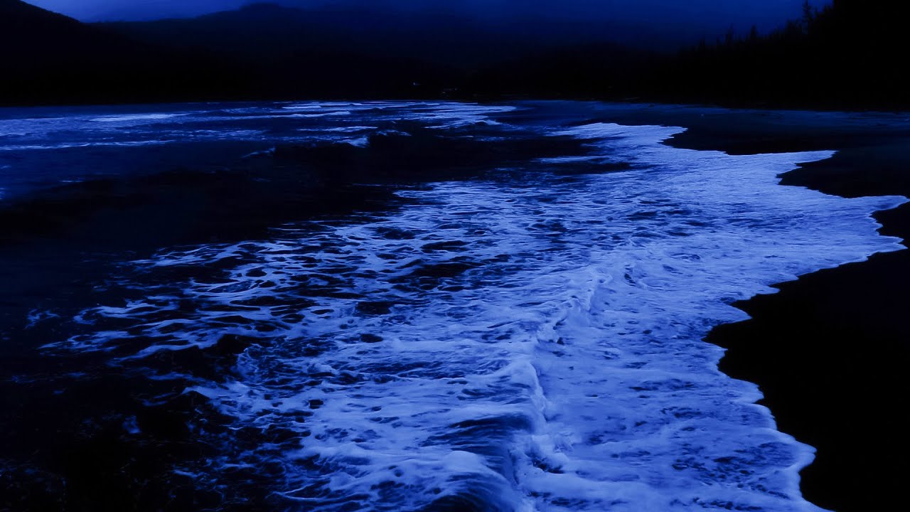 ASMR Sound of Gentle Ocean Waves for When You Need to Relax 🌊 Relaxing Therapy For Easy Sleep