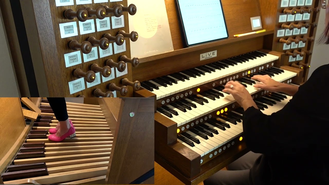 Chorale Prelude on 'Wer nur den lieben Gott lasst walten' by Theo van Wyk [Johannus Live iii AGO]