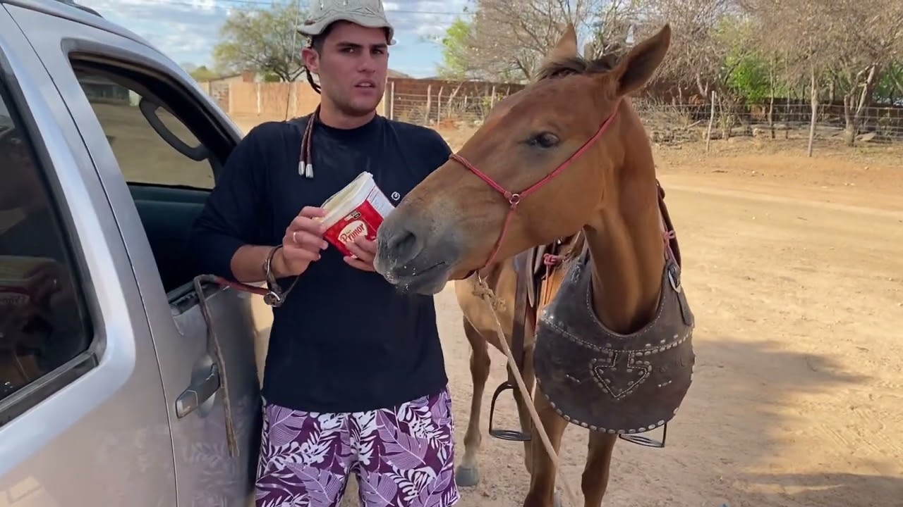 O CAGA-RO&Ccedil;A COMEU OS P&Atilde;ES DO REI